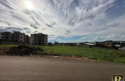 Terreno à venda na Rua Fênix, 278, São Cristóvão, Guarapuava