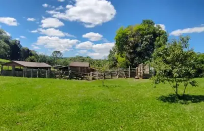 Chácara / sítio à venda no Palmeirinha, Guarapuava 