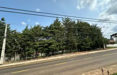 Terreno à venda na Rua Leonardo Coblinski, Boqueirão, Guarapuava