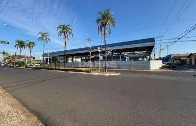 Imóvel de 800m será construído de acordo com o seu projeto
