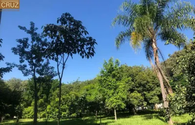Terreno plano em rua calma e arborizada no bairro nova piracicaba
