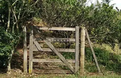 Fazenda à venda na Rodovia MG-190, Vila Arquelau, Uberaba