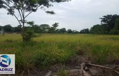 Area para vender, area comercial, frente rodovia, proximo a rio preto, 10mil metros, plana, para fazer barracão