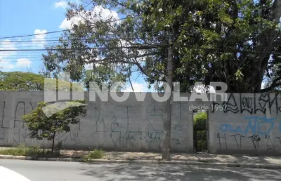 Terreno 3.700m² para alugar na vila guilherme ? em avenida principal