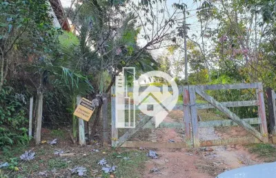 Sítio com muito verde, ar puro e tranquilidade  à venda - bairro do pinga - pindamonhangaba/sp