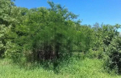 Terreno à venda na rua paulo fontoura gastal, 89, belém novo, porto alegre por r$ 1.600.000
