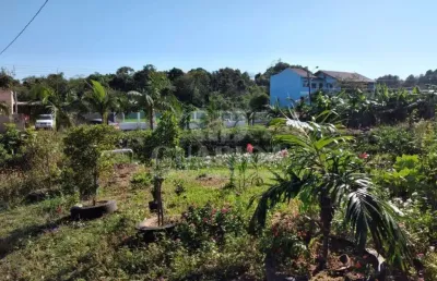 Chácara / sítio com 3 quartos à venda na beco calábria, 281, restinga, porto alegre por r$ 1.060.000