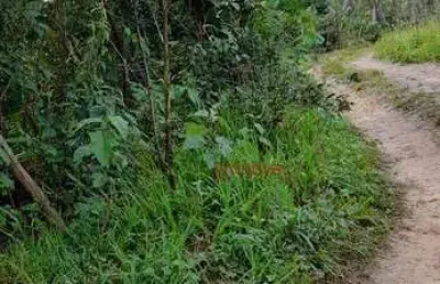Terreno em condomínio fechado à venda na Praça Matriz, Porto de Sauipe, Entre Rios