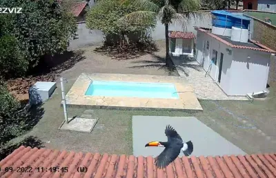 Chácara com 3 dormitórios à venda, 1448 m² por r$ 540.000,00 - shangri-lá - goianá/mg