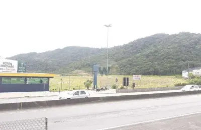 Terreno para alugar, 40000 m² por r$ 150.000/mês - várzea do ranchinho - camboriú/sc