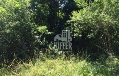 Terreno à venda, 11080 m² por r$ 270.000,00 - várzea das moças - niterói/rj