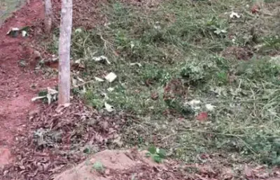 Terreno em condomínio para venda em teresópolis, albuquerque