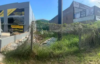 Terreno comercial à venda na avenida dorival cândido luz de oliveira, 3399, cohab c, gravataí, 420 m2 por r$ 1.100.000