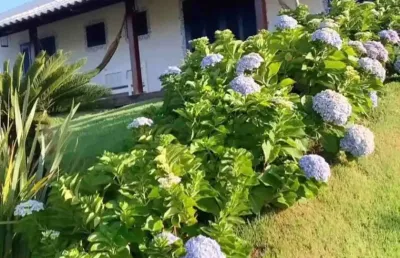 Chácara / sítio com 3 quartos à venda na Avenida Trindade, 12, Residencial Solar São Francisco II, Trindade