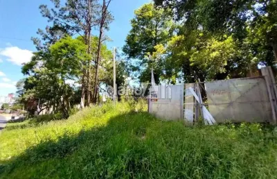 Terreno comercial para aluguel, com 1.140m², - salgado filho - gravataí / rs por r$ 950,00
