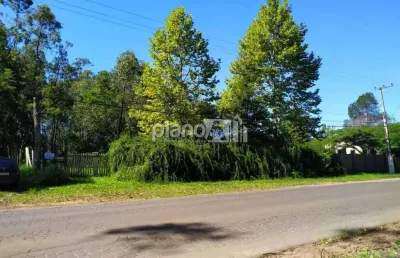 Terreno comercial para aluguel, com 2.000m², - santo antônio - gravataí / rs por r$ 3.000,00