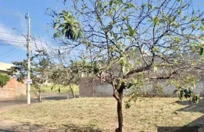 Terreno à venda na rua valdir fernando de marchi, parque residencial j. macedo, são josé do rio preto, 260 m2 por r$ 155.000