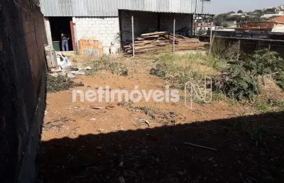 Terreno comercial para alugar no Jardinópolis, Belo Horizonte 