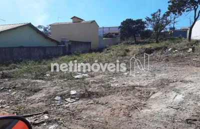 Terreno comercial para alugar na Rua Caldas da Rainha, São João, Betim