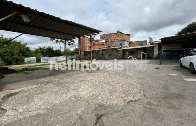 Terreno comercial para alugar no Nova Suíssa, Belo Horizonte 