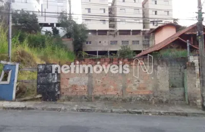 Terreno à venda na Rua Amaro Ribeiro Coelho, Alto Caiçaras, Belo Horizonte