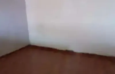 Casa para aluguel,  jardim tanay, são paulo - ca6772