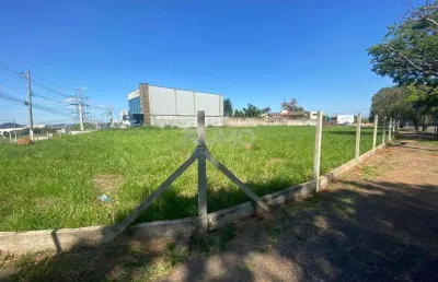 Terreno comercial à venda na avenida josé bonifácio, s/n, jardim das paineiras, campinas por r$ 10.876.000