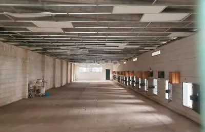 Barracão / galpão / depósito para alugar na mário boari de tamassia, 60, village campinas, campinas, 1162 m2 por r$ 4.500