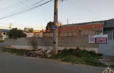 Terreno residencial à venda, rio pequeno, são josé dos pinhais - te0035.
