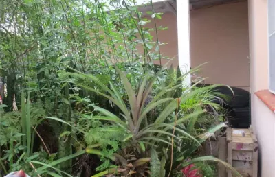 Casa térrea com 4 quartos à venda em vila da saúde - sp