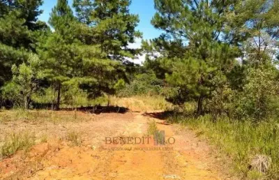Chácara / sítio com 1 quarto à venda na Rua Principal, Cotia, São José dos Pinhais