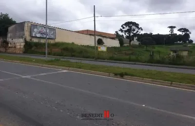 Terreno à venda na Avenida Rui Barbosa, Colônia Rio Grande, São José dos Pinhais
