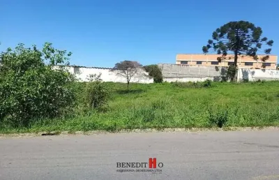 Terreno à venda na Rua Hugo Zen, Colônia Rio Grande, São José dos Pinhais