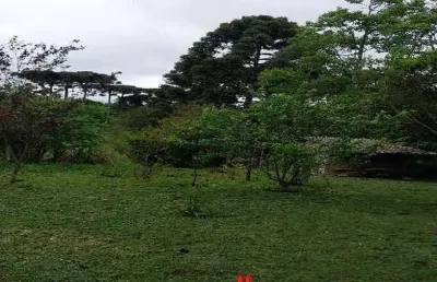 Chácara / sítio com 1 quarto à venda na Rua Nestor Negoseke, 3303, Colônia Zacarias, São José dos Pinhais