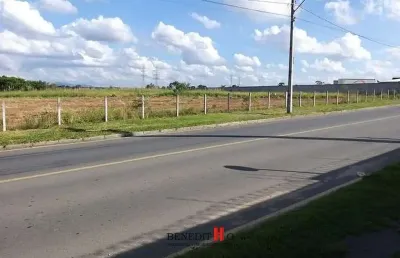 Terreno à venda na Rua Antônio Molleta Filho, Costeira, São José dos Pinhais