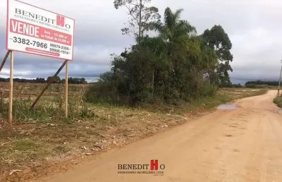 Terreno à venda na Rua Domingos Benvenute Moletta, Campo Largo da Roseira, São José dos Pinhais