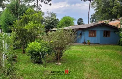 Chácara / sítio com 2 quartos à venda na Estrada Principal, Colônia Mergulhão, São José dos Pinhais