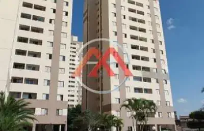 Apartamento à venda, vila divina pastora, são paulo, sp
