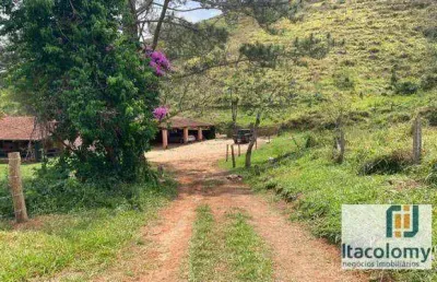Fazenda com 2 salas à venda na Estrada Presidente Tancredo Neves, Pedrinha, Guaratinguetá