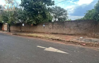 Terreno à venda na Avenida Barão do Rio Branco, Pereira, Barretos