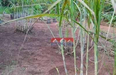 Terreno à venda, 1000 m² por r$ 220.000,00 - ivoturucaia - jundiaí/sp