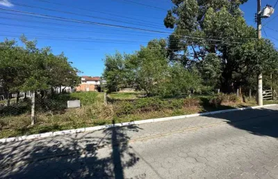 Terreno para venda em florianópolis, são joão do rio vermelho