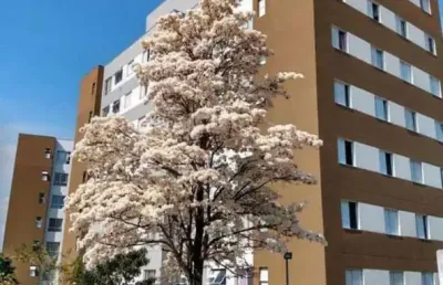 Apartamento para venda em são paulo, vila zefira, 2 dormitórios, 1 banheiro, 1 vaga