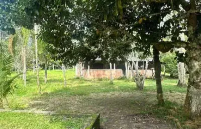 Chácara / sítio com 4 quartos à venda na Rua da Floresta, 2785, Tarumã, Manaus