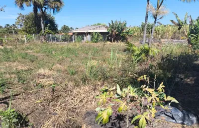 Chácara à venda em samambaia norte - 2.250m² | escriturada | água de nascente | terra fértil
