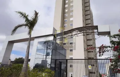 Apartamento com suíte à venda, vila industrial, campinas (sp) - ap729