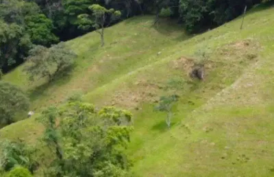 Terreno à venda, 87000 m² por r$ 798.000,00 - colônia santana - são josé/sc