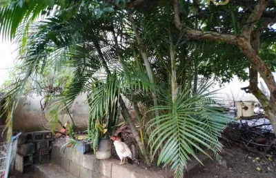 Casa com 3 quartos à venda no Jonas Veiga, Belo Horizonte 