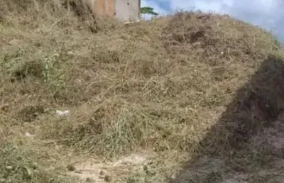 Terreno à venda, 720 m² por r$ 470.000,00 - jonas veiga - belo horizonte/mg