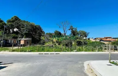 Terreno à venda na Rua Tulipa, Vila das Flores, Betim